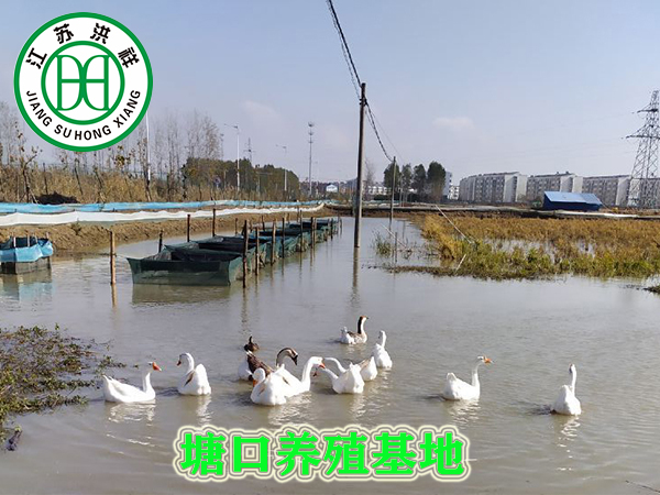 立式升降臺(tái)銑床X5040